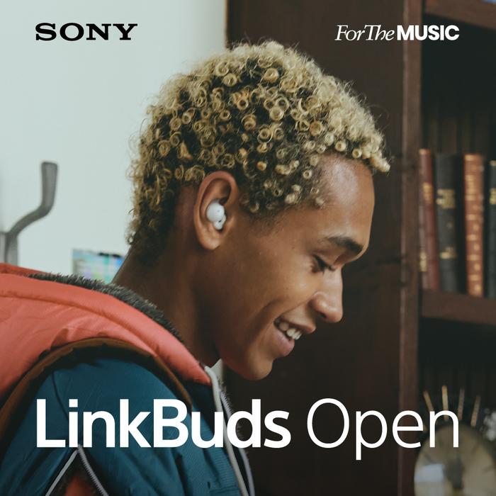 Sony WF-L910 LinkBuds Open True Wireless Earbuds