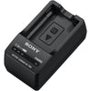 Sony BC-TRW Battery Charger