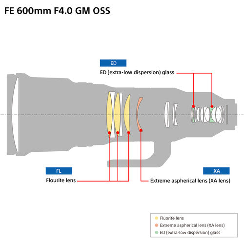 Sony FE 600mm f4 GM OSS Lens