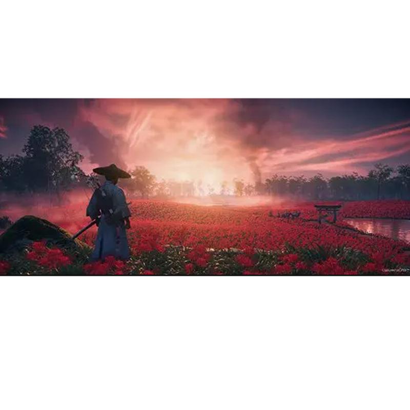 Ghost of Tsushima Director's Cut (PS5) ECAS-00028E