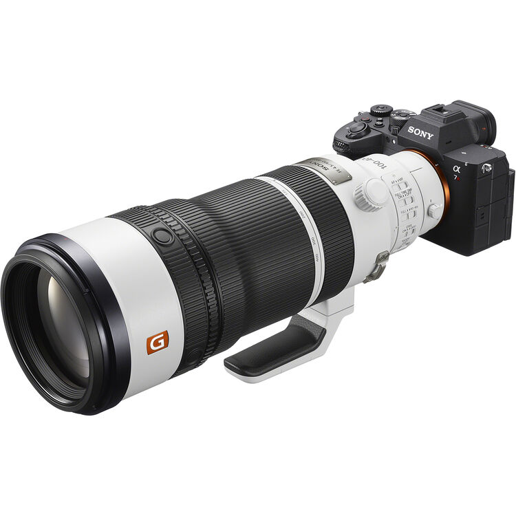 Sony FE 100-400mm f4.5 GM OSS Lens (Sony E) with Sony FE 2.0x Teleconverter